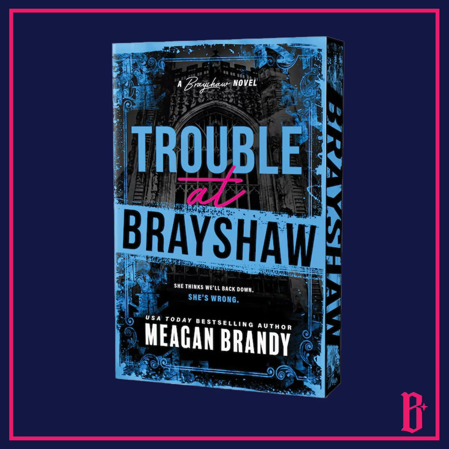 Brayshaw Series by Meagan Brandy (Deluxe Edition) PREORDER - Image 3