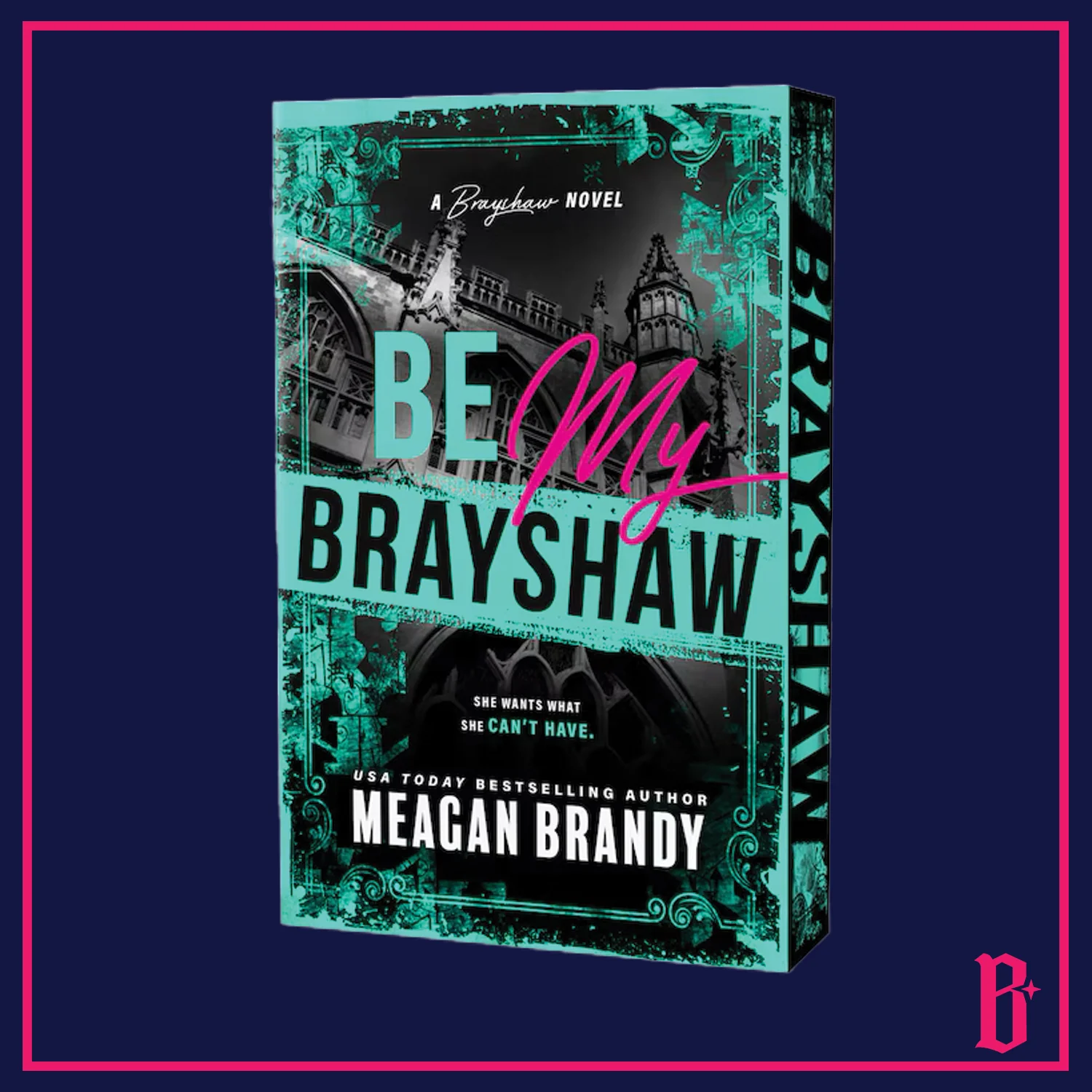 Brayshaw Series by Meagan Brandy (Deluxe Edition) PREORDER - Image 5