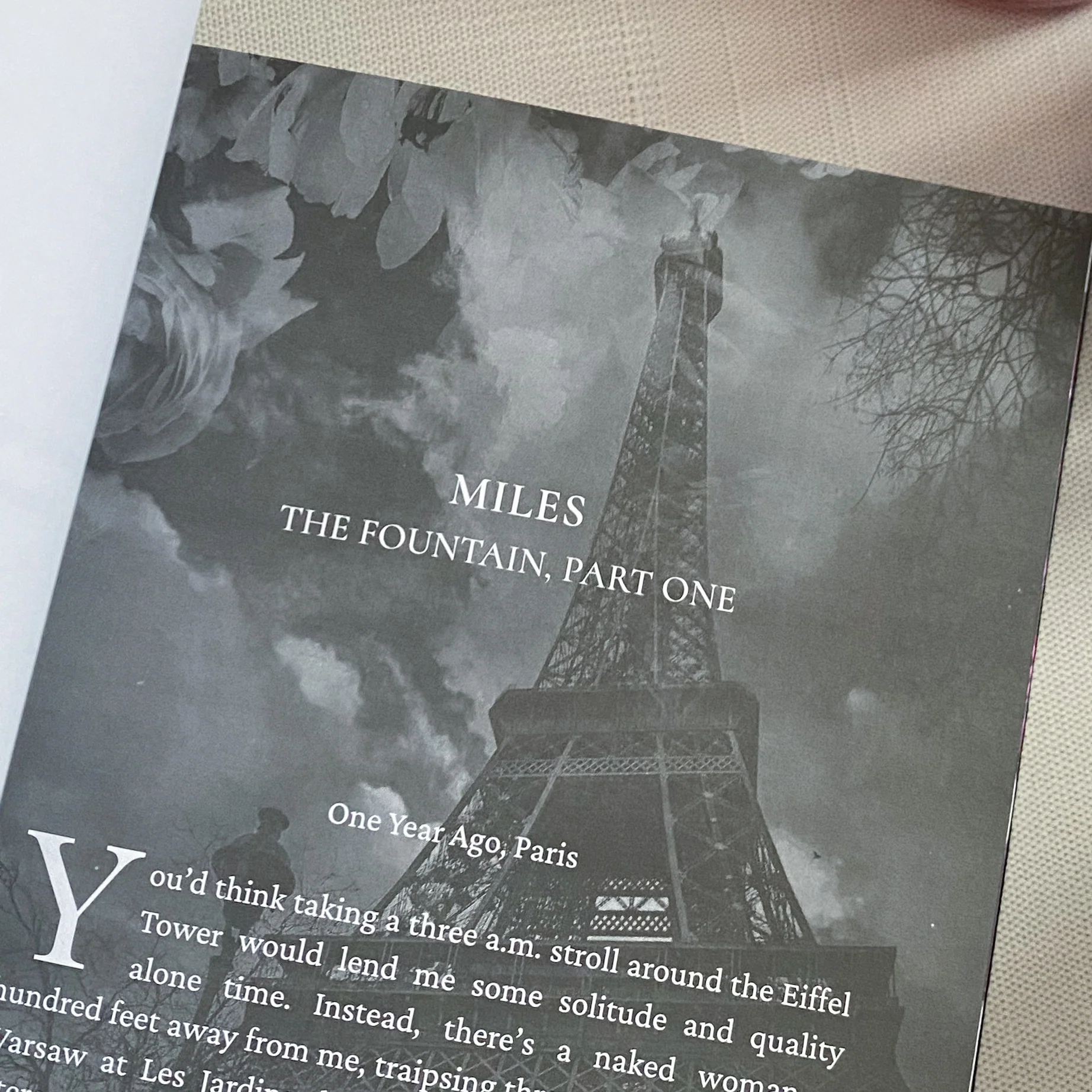 Marry Lies by Amanda Richardson (Baddies Exclusive Edition, Signed) - Image 8