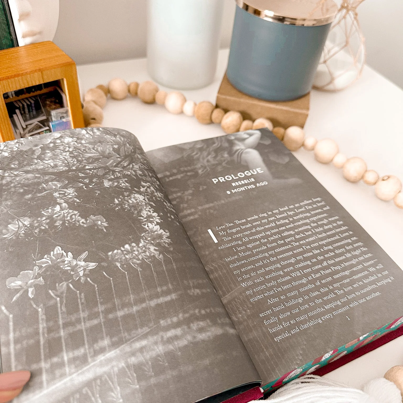 Web of Lies by Aly Beck (Baddies Edition, Signed) - Image 10